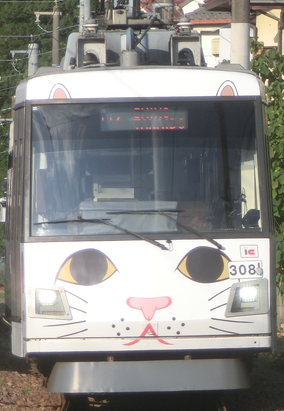 Tk-308-10.jpg