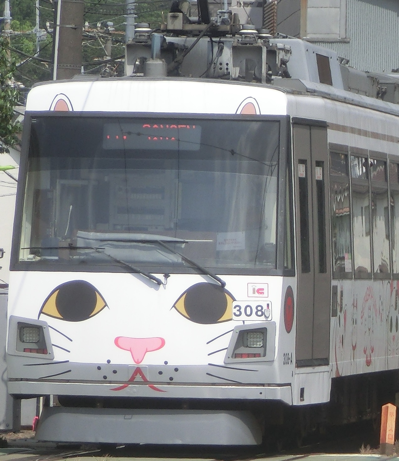 Tk-308-11.jpg