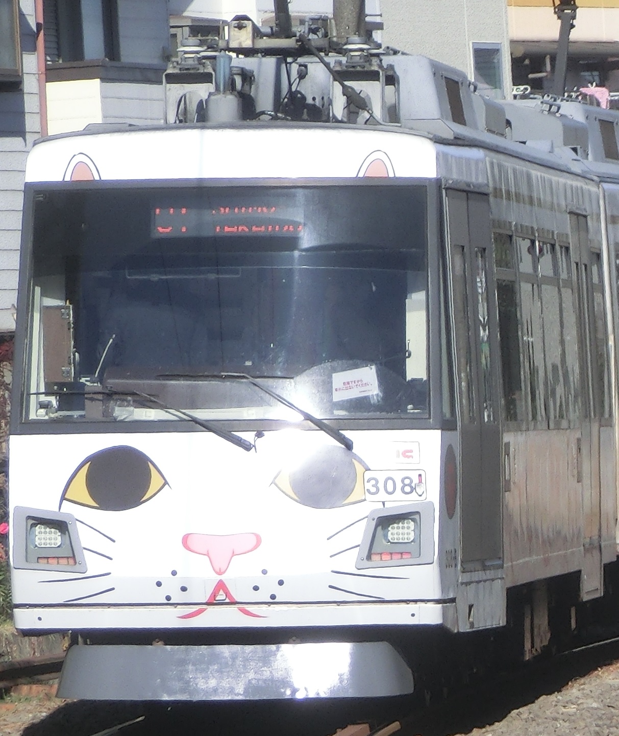 Tk-308-15.jpg
