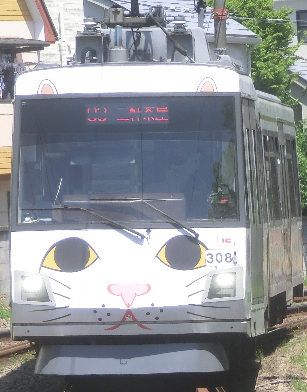 Tk-308-16.jpg