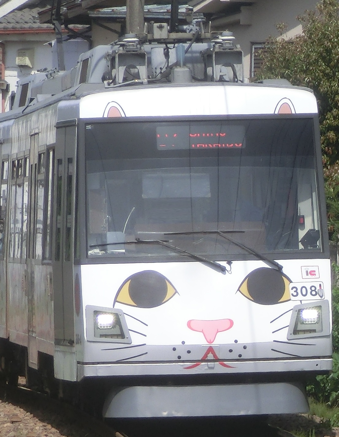 Tk-308-17.jpg