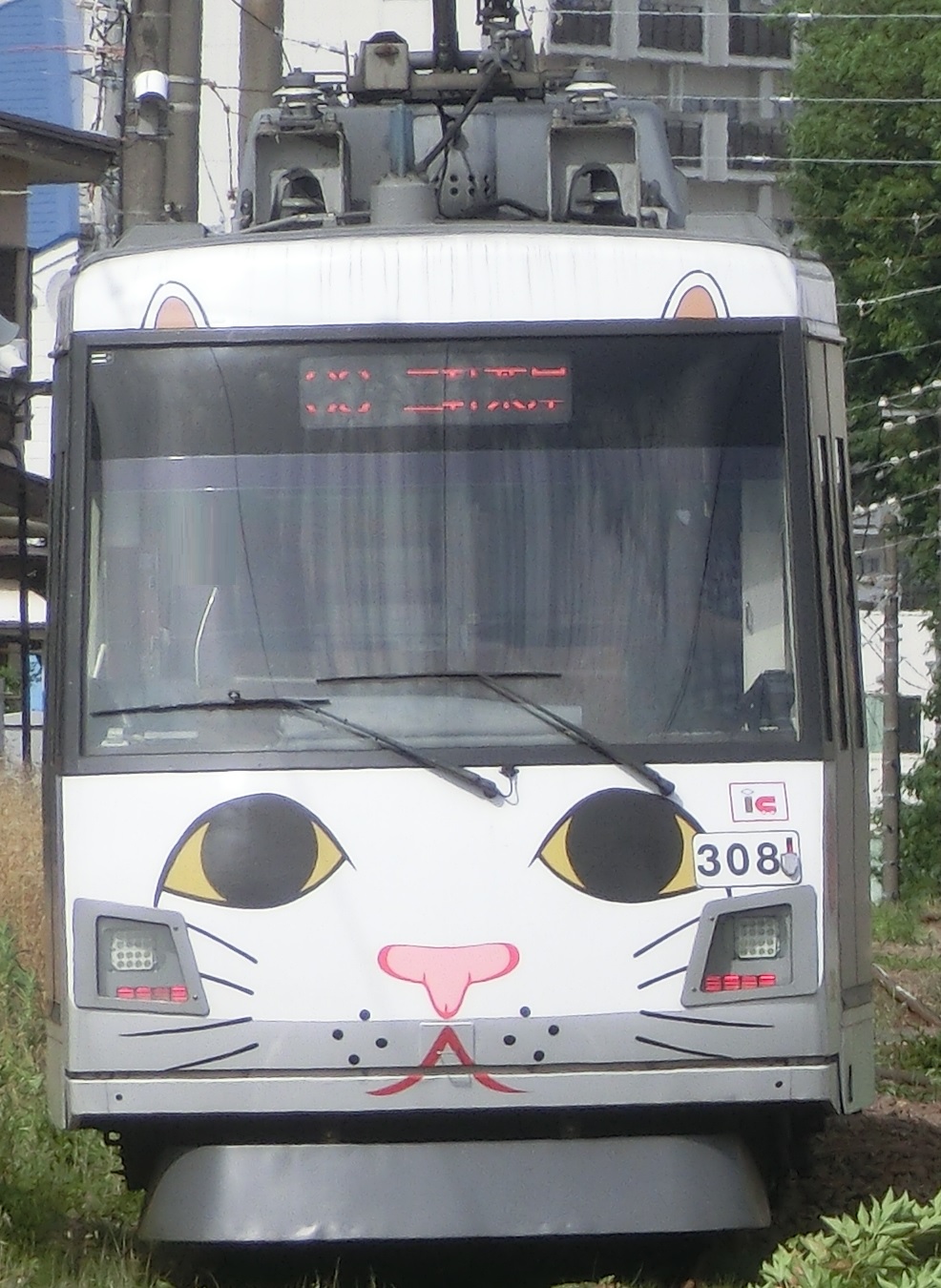 Tk-308.jpg