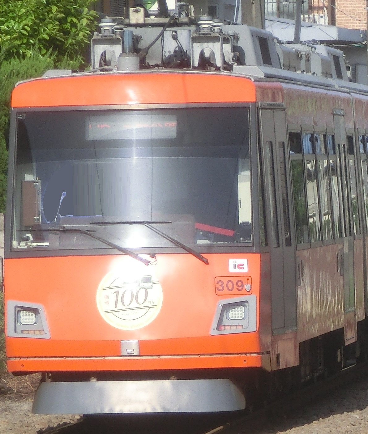 Tk-309-15.jpg