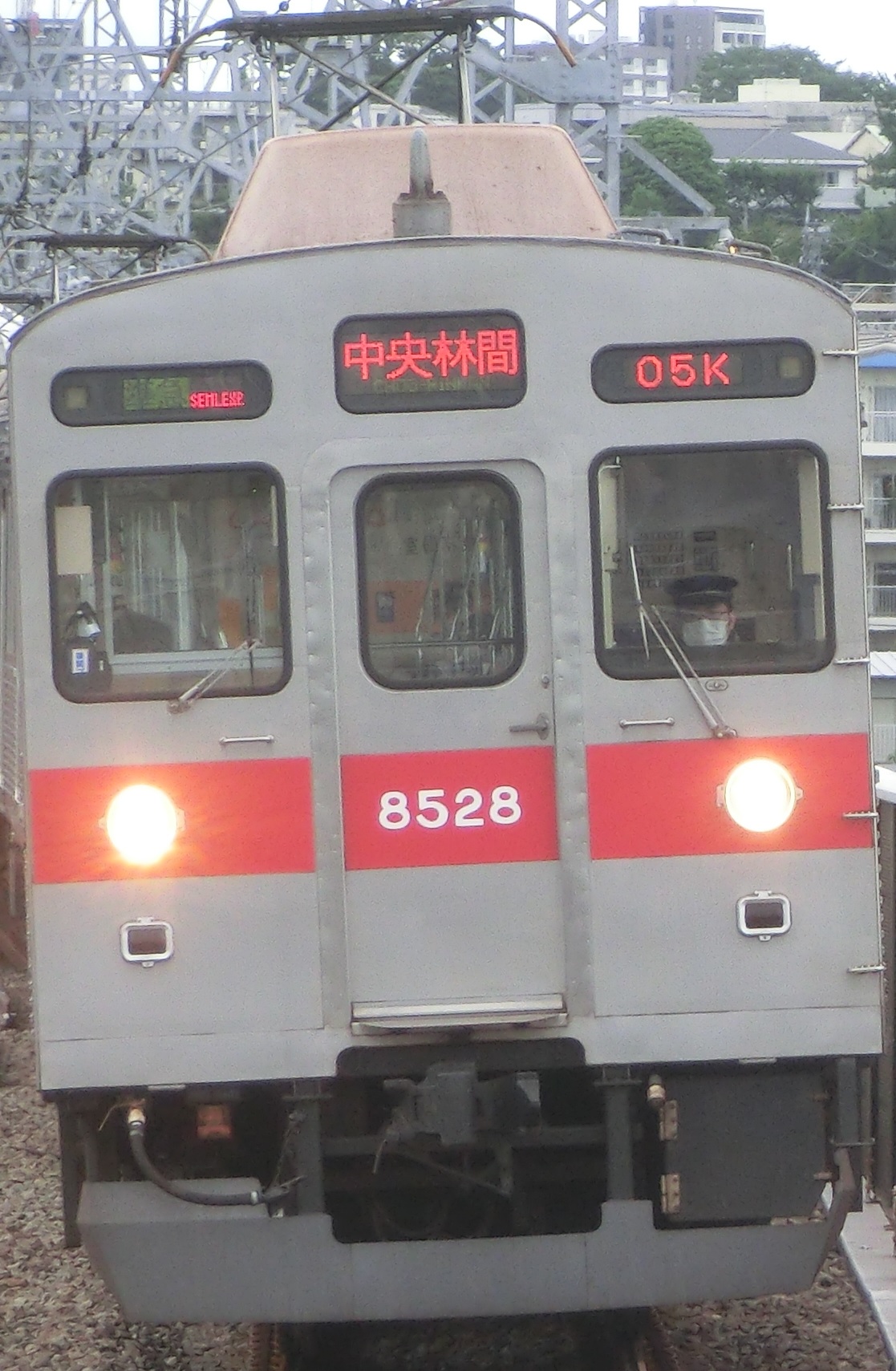 Tk-8628.jpg