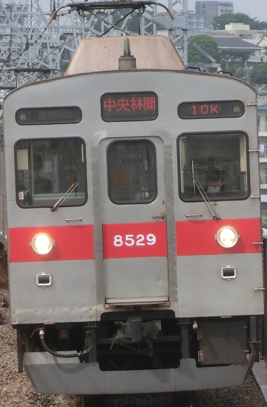 Tk-8629.jpg