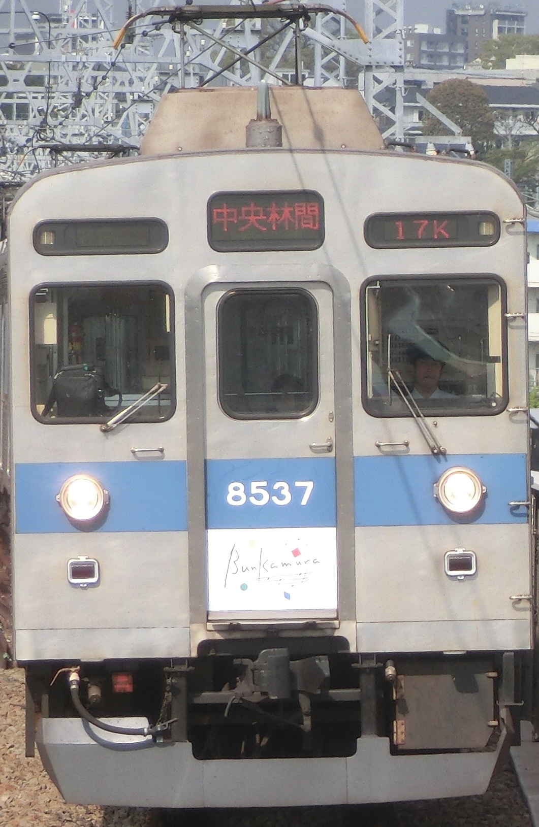 Tk-8637-8.jpg