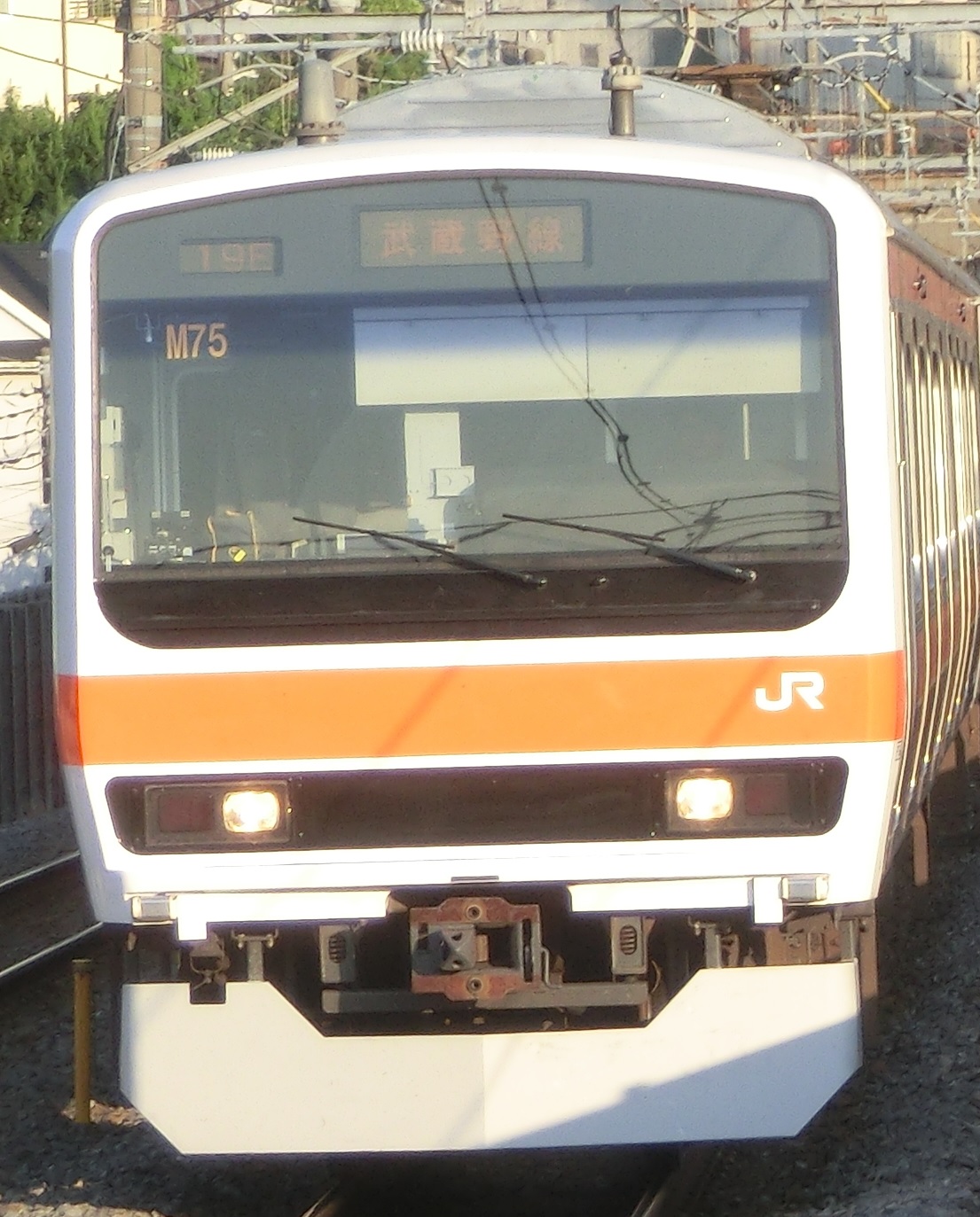 209-M75-2元.jpg