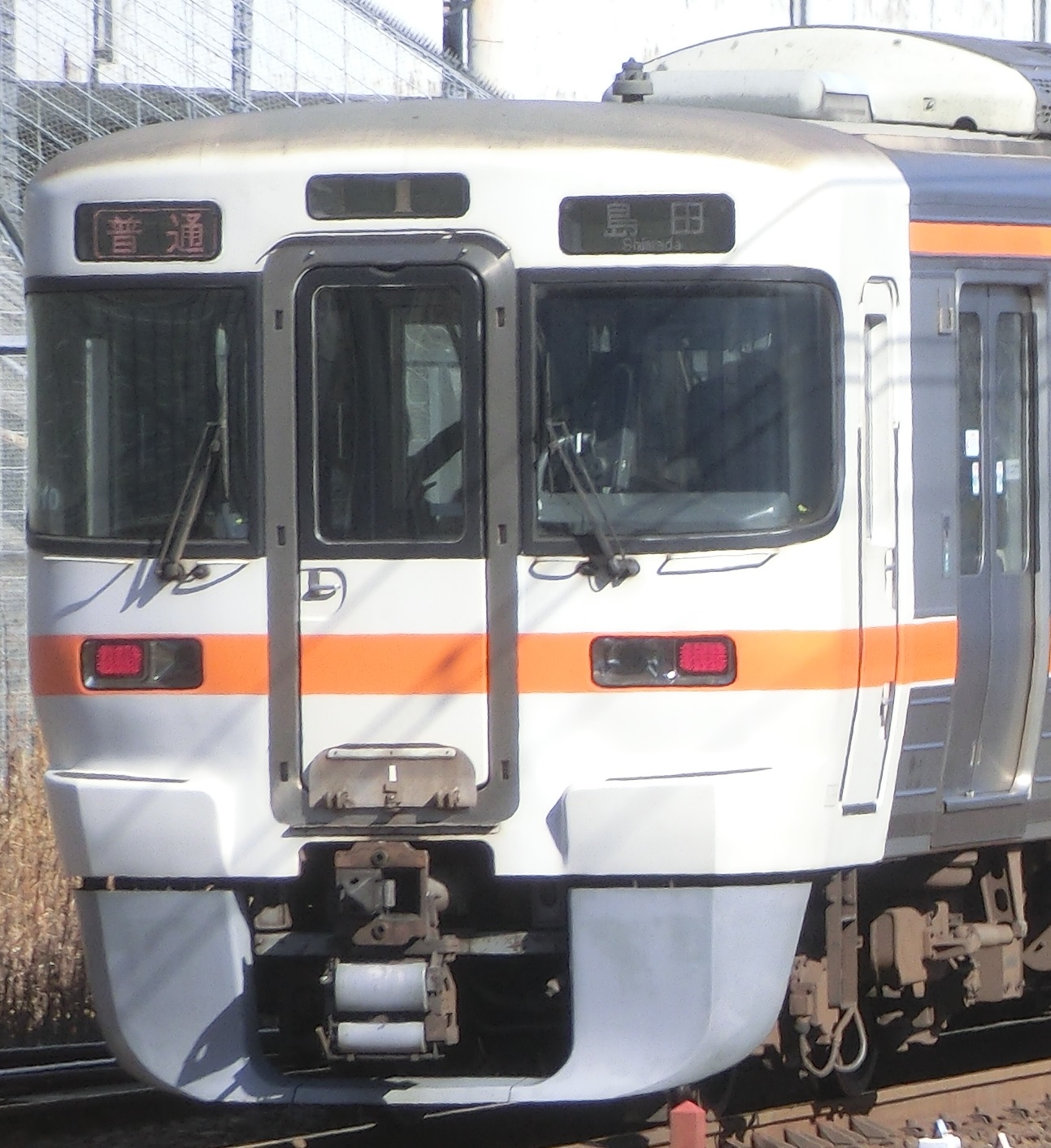 313-T10元.jpg