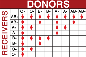 bloodgroups.gif