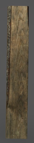 plank.png