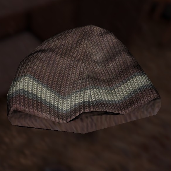 Beanie hat.jpg