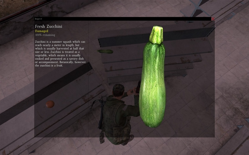 800px-Zucchini_1.jpg