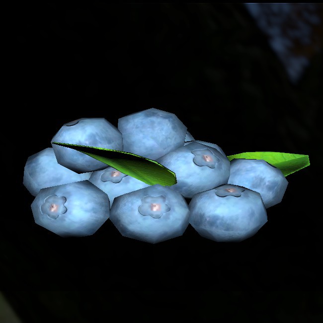 Blue-coloured berries (Pristine).jpg