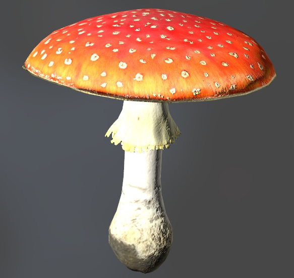 amanita_m.png