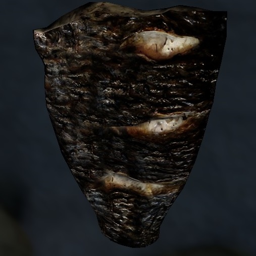 burned fish fillet(carp).jpg