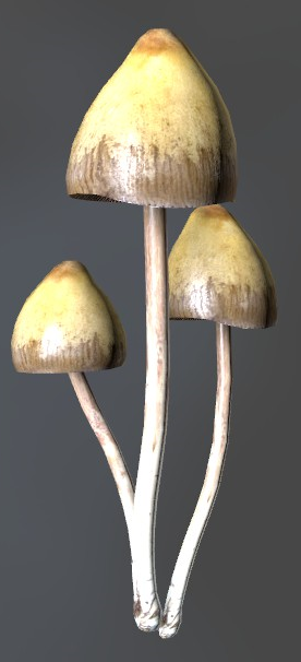 liberty_cap.png