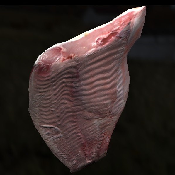 raw fish fillet(carp).jpg