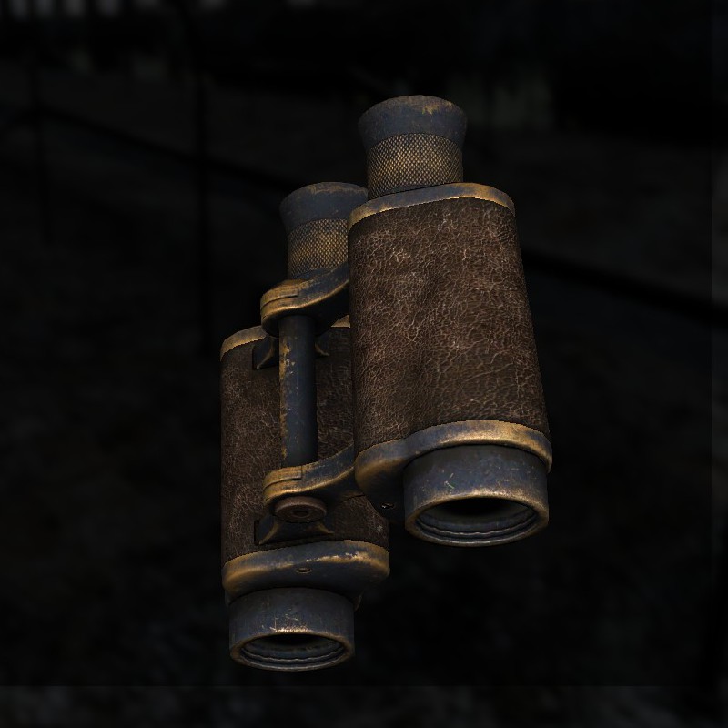 Binoculars (pristine).jpg