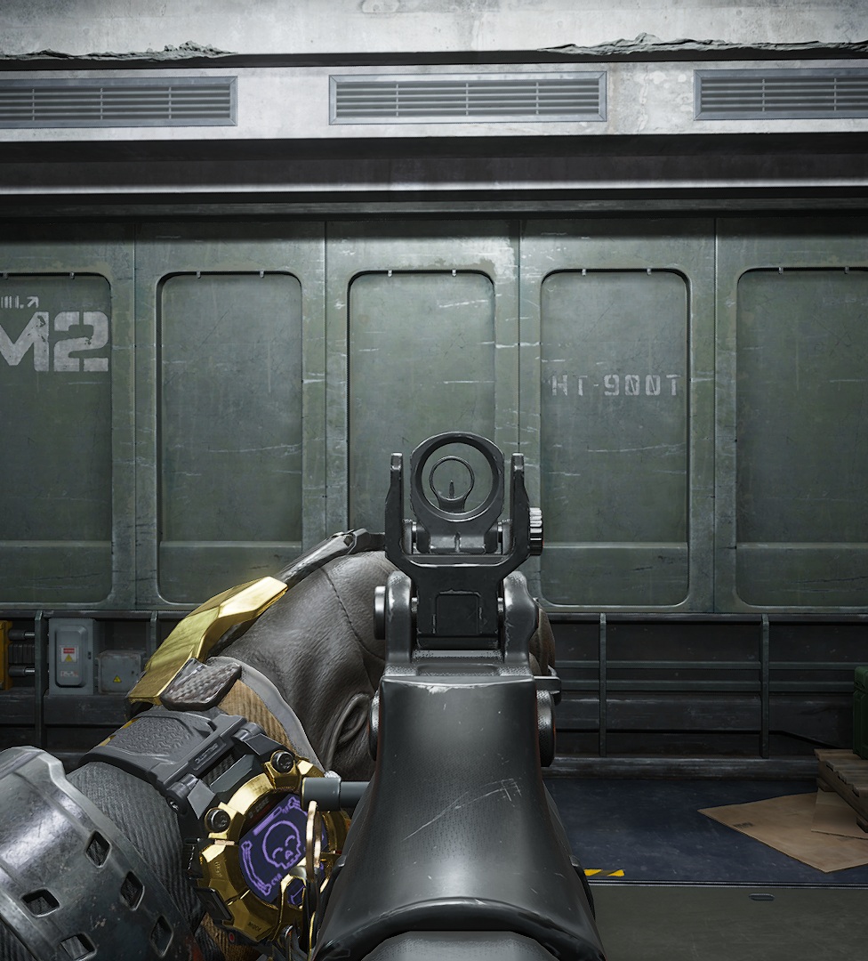 CI-19_ironsight.jpg