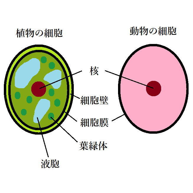 science1.png