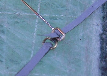 154.JPG