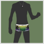 水着.png