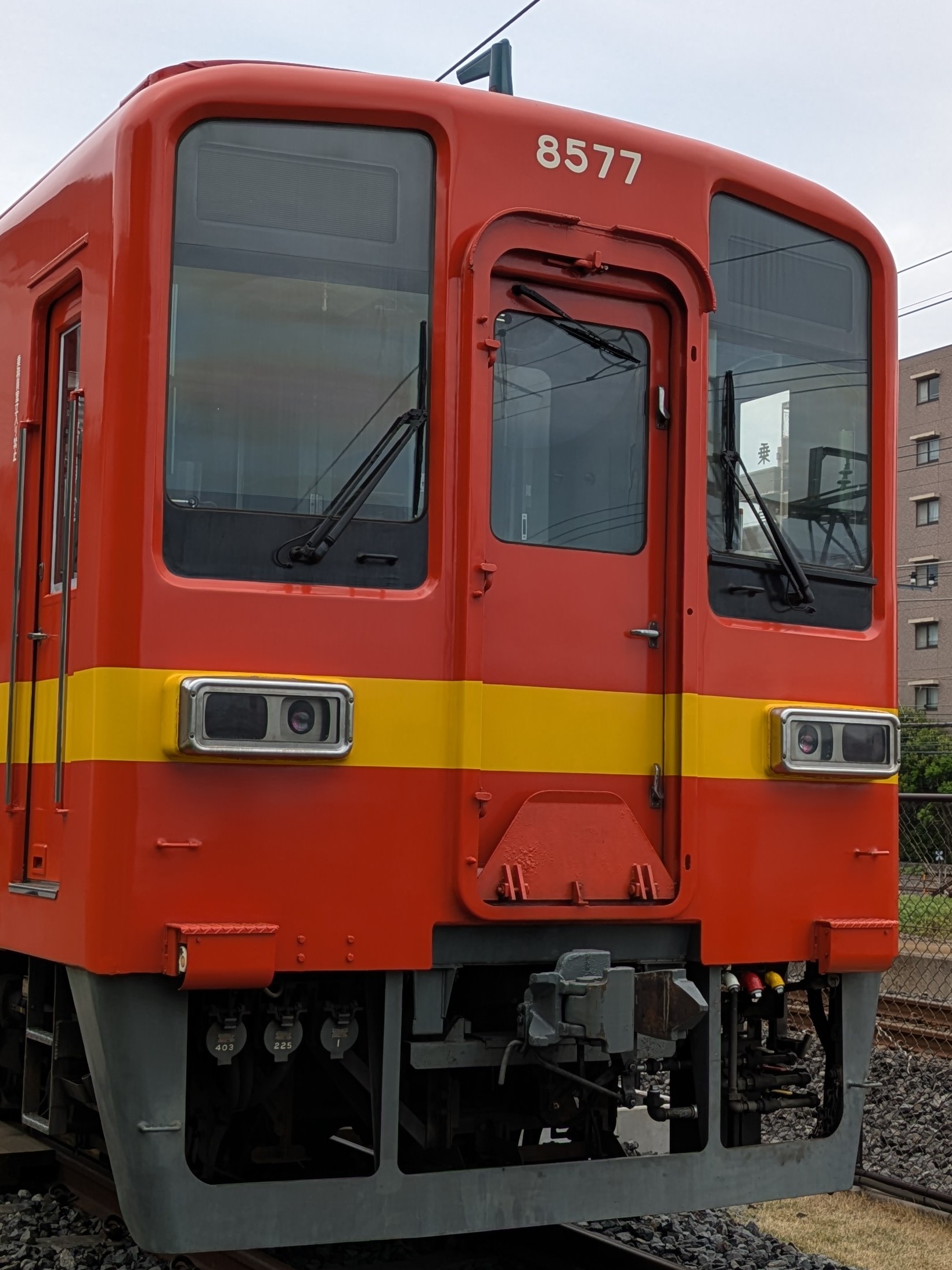 tb-8577.jpg
