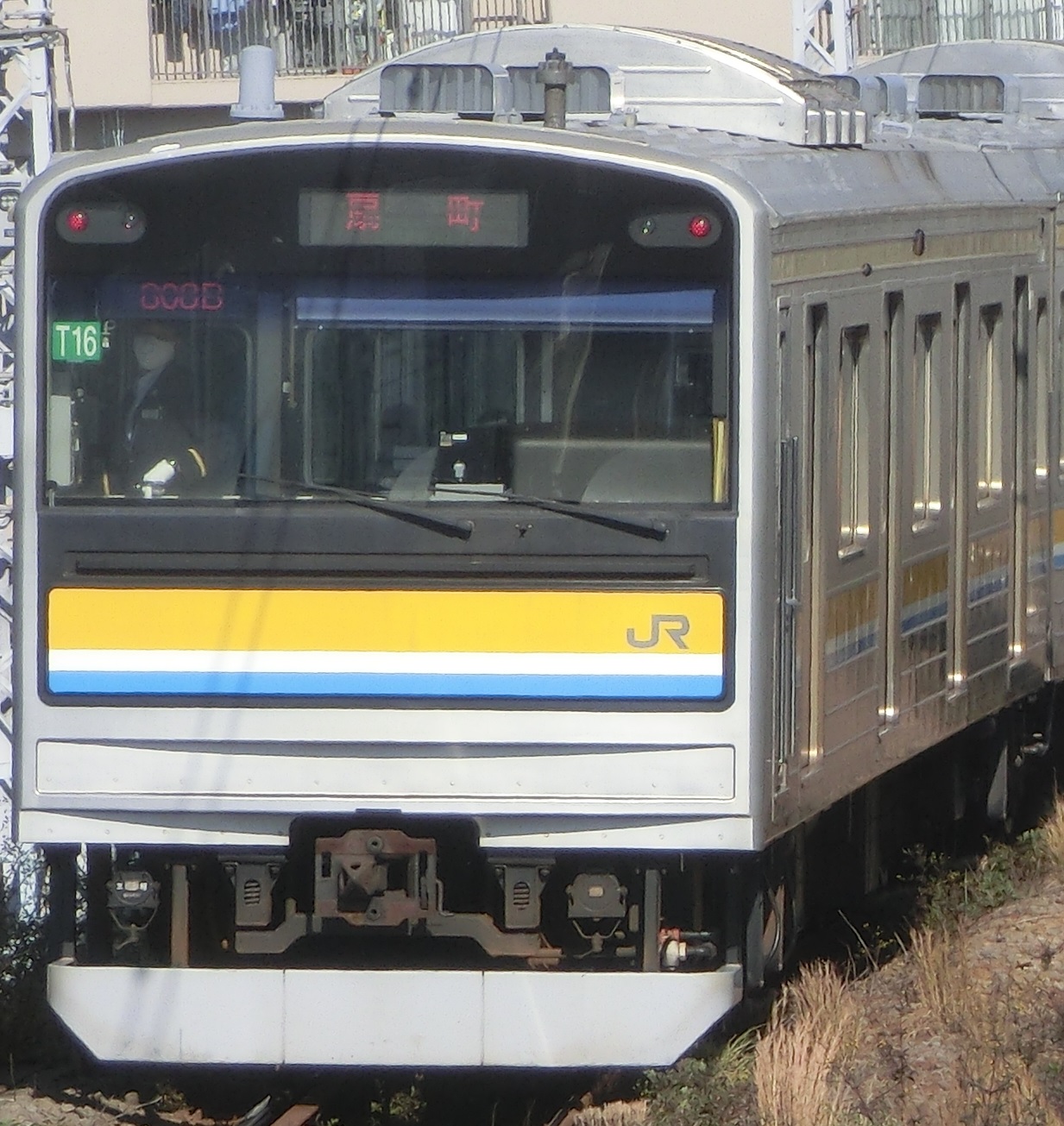 205-T16.jpg