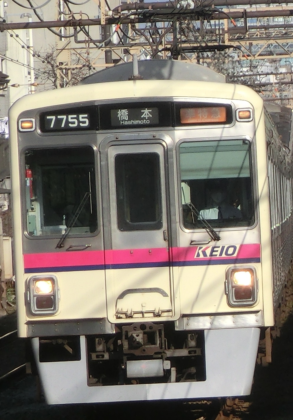 Ko-7705.jpg