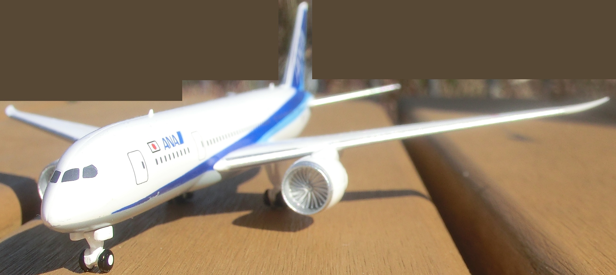 PlaneModel-B788AN.jpg