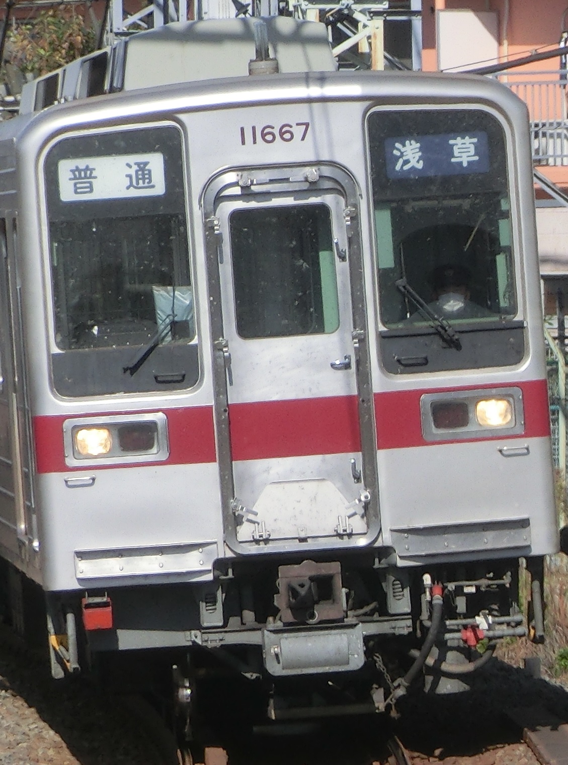 tb-11667.jpg