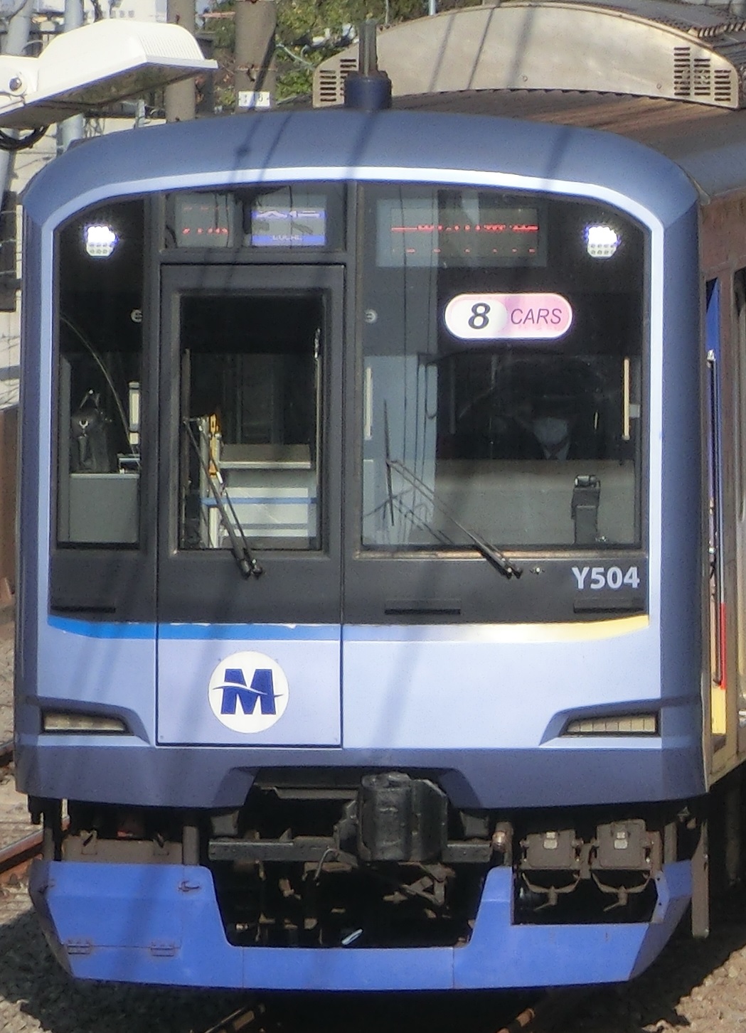 MM-Y524.jpg