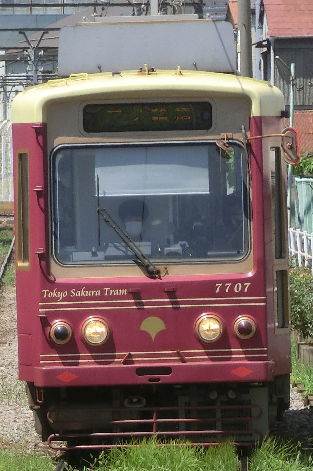 TST7707.jpg