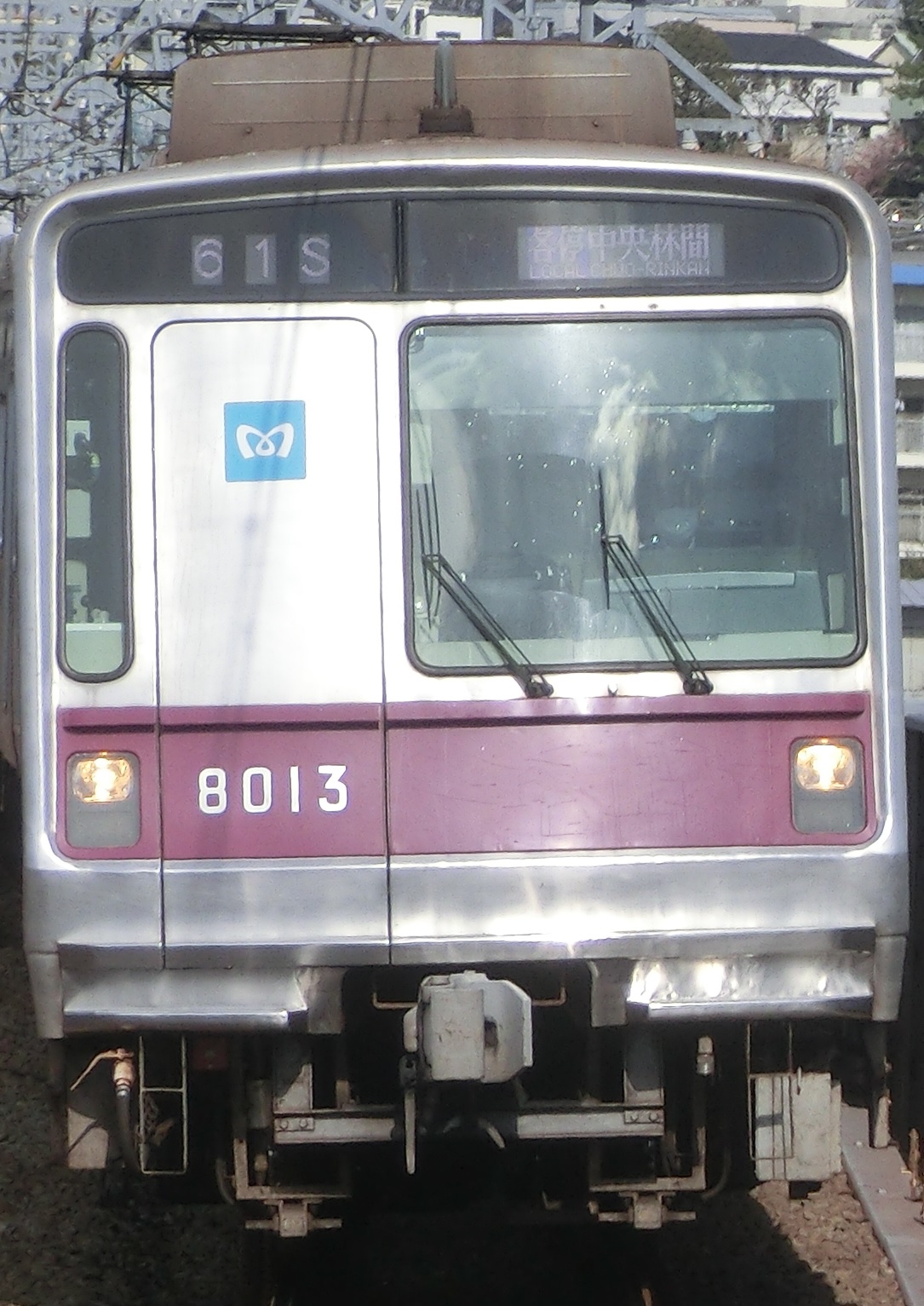 tms8113.jpg