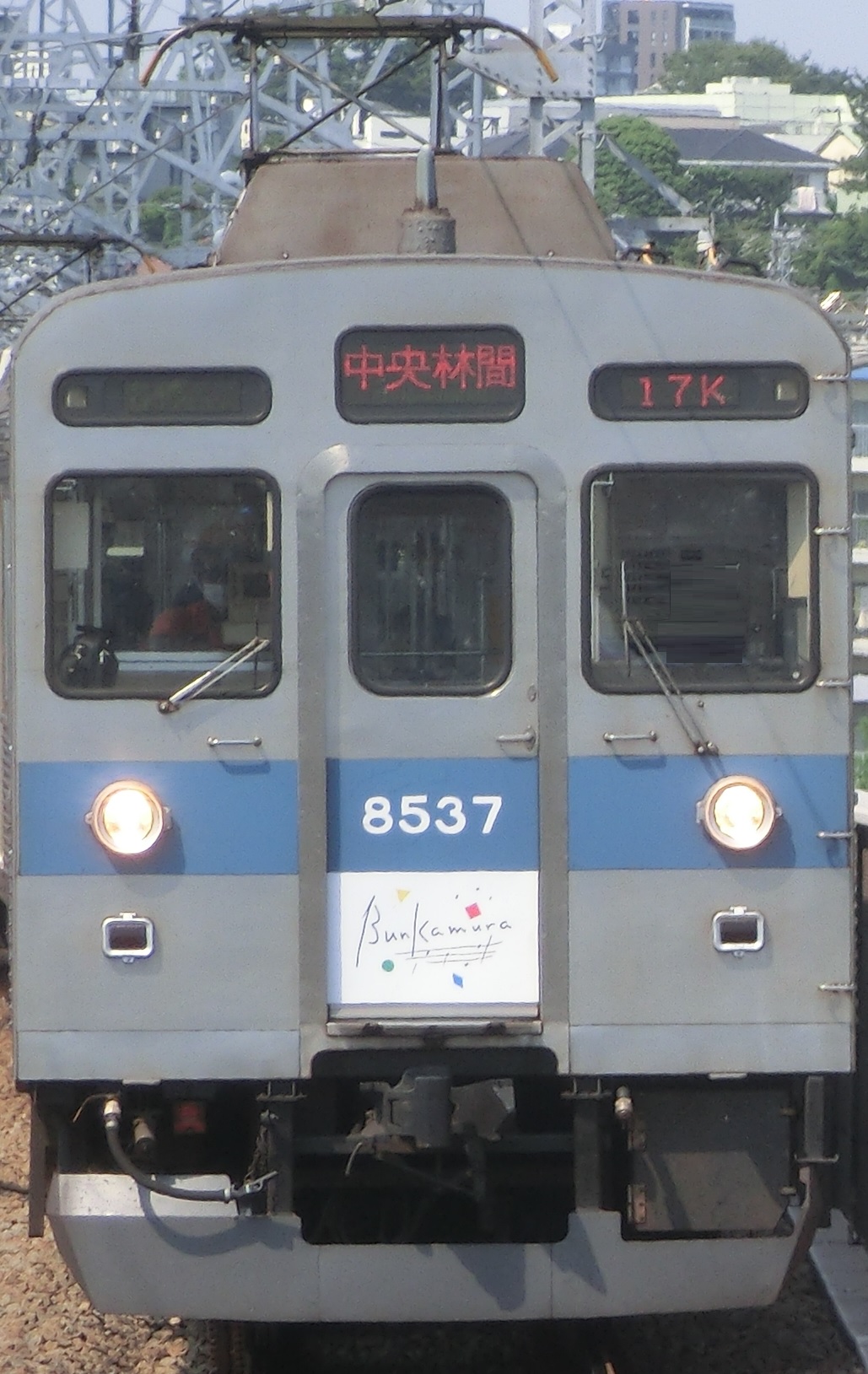 Tk-8637-11.jpg