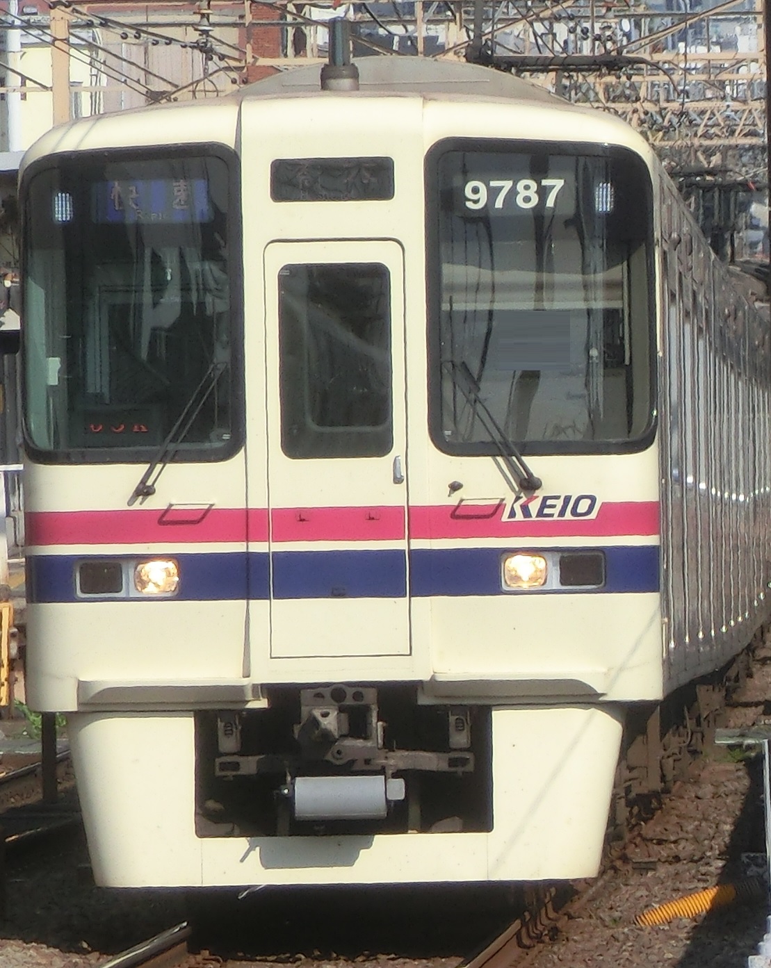 Ko-9737.jpg