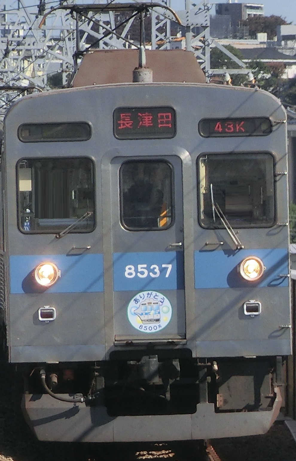 Tk-8637-28.jpg