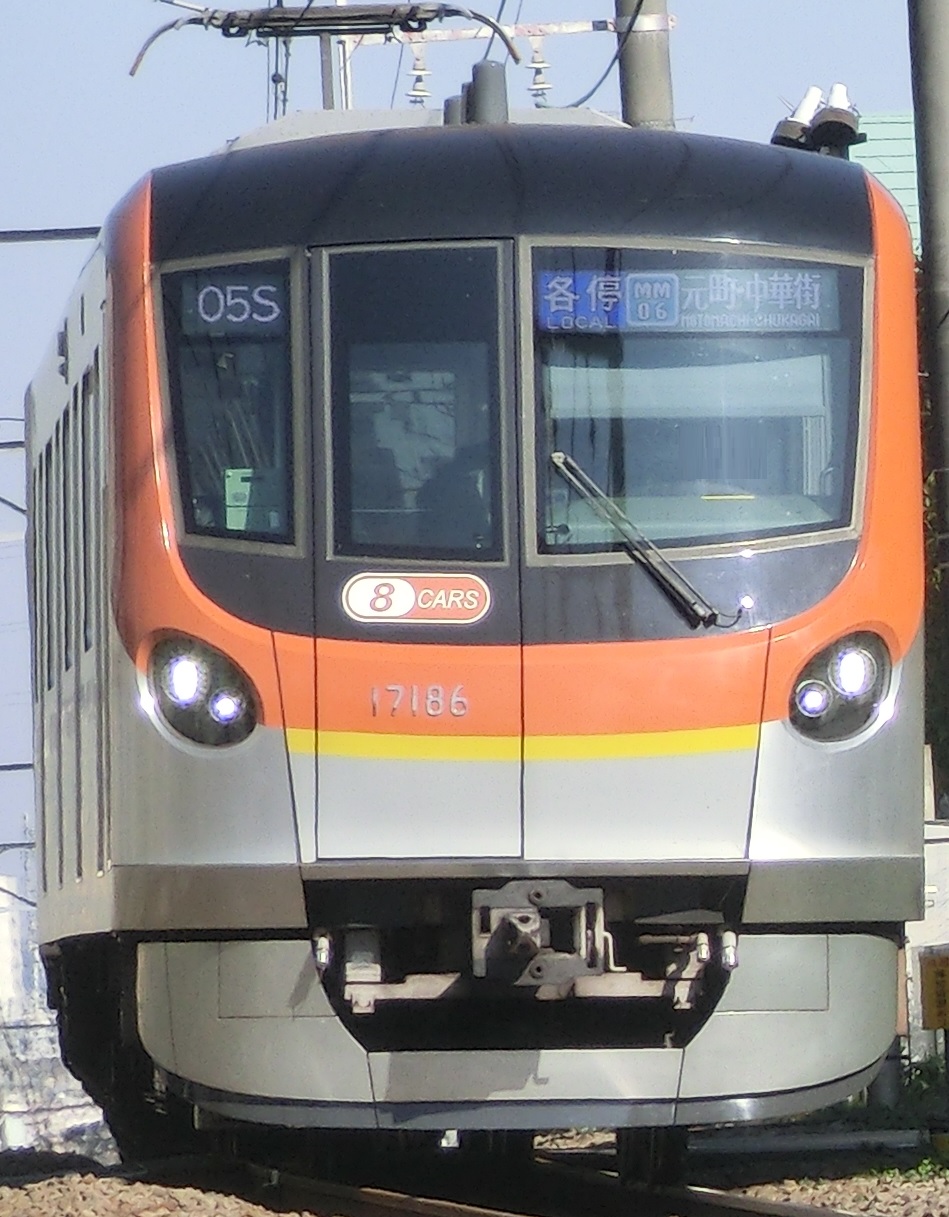 tb-17186.jpg