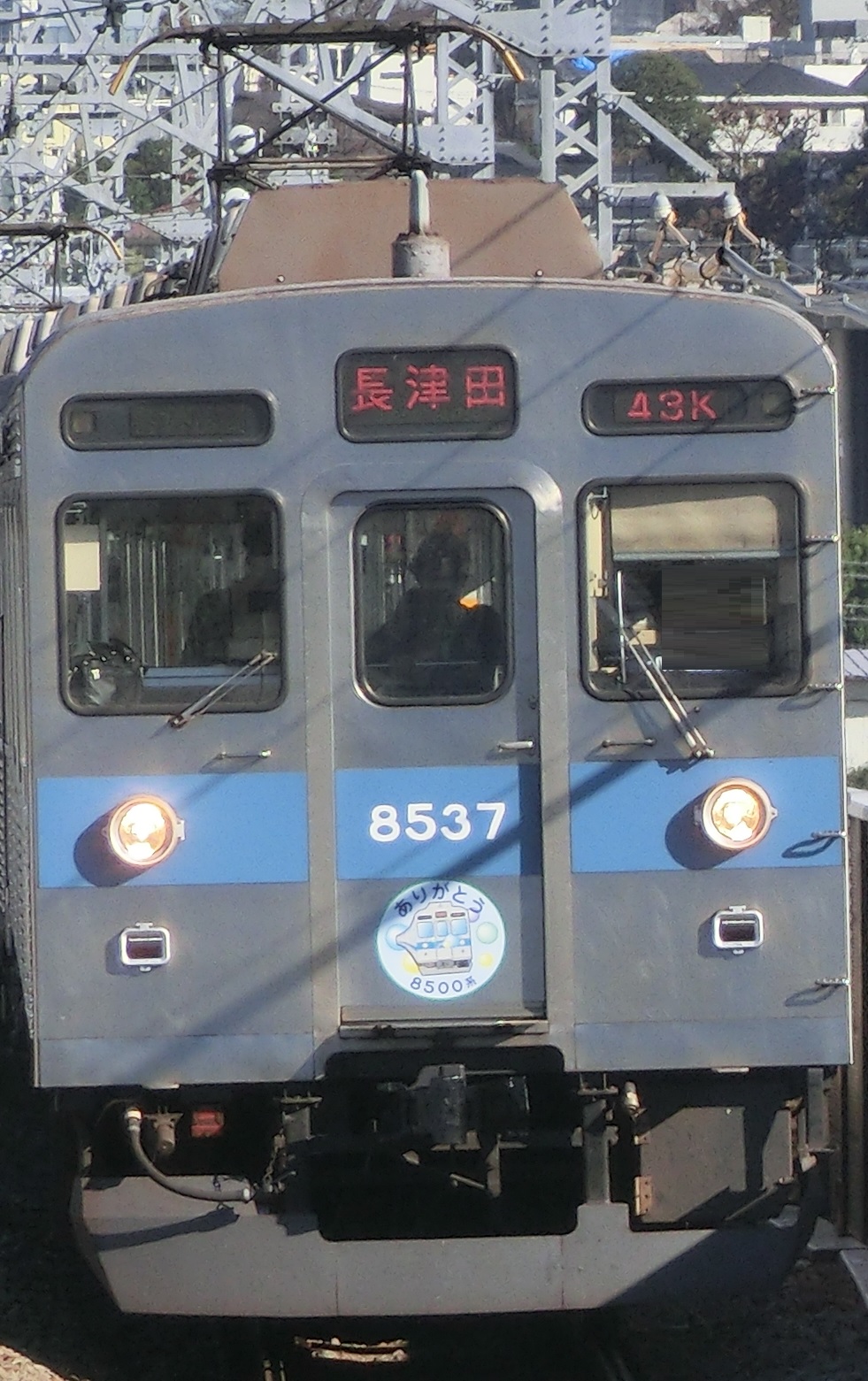 Tk-8637-32.jpg