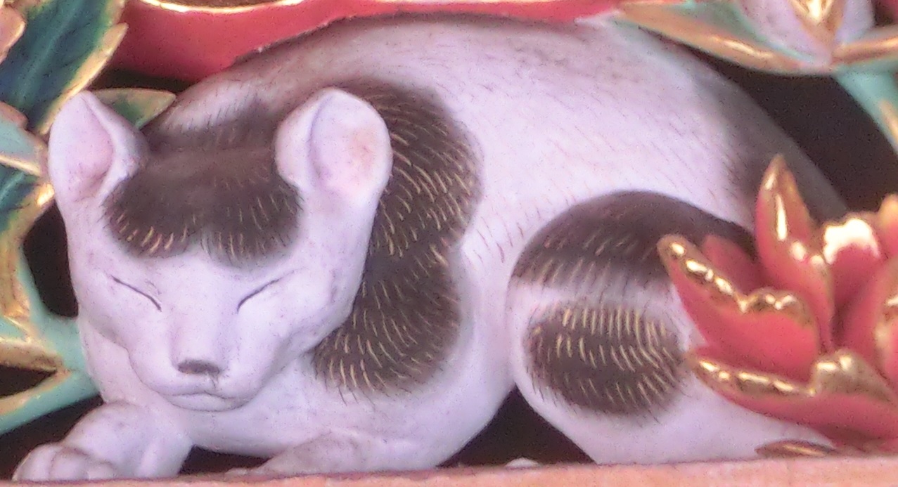 Nemurineko.jpg