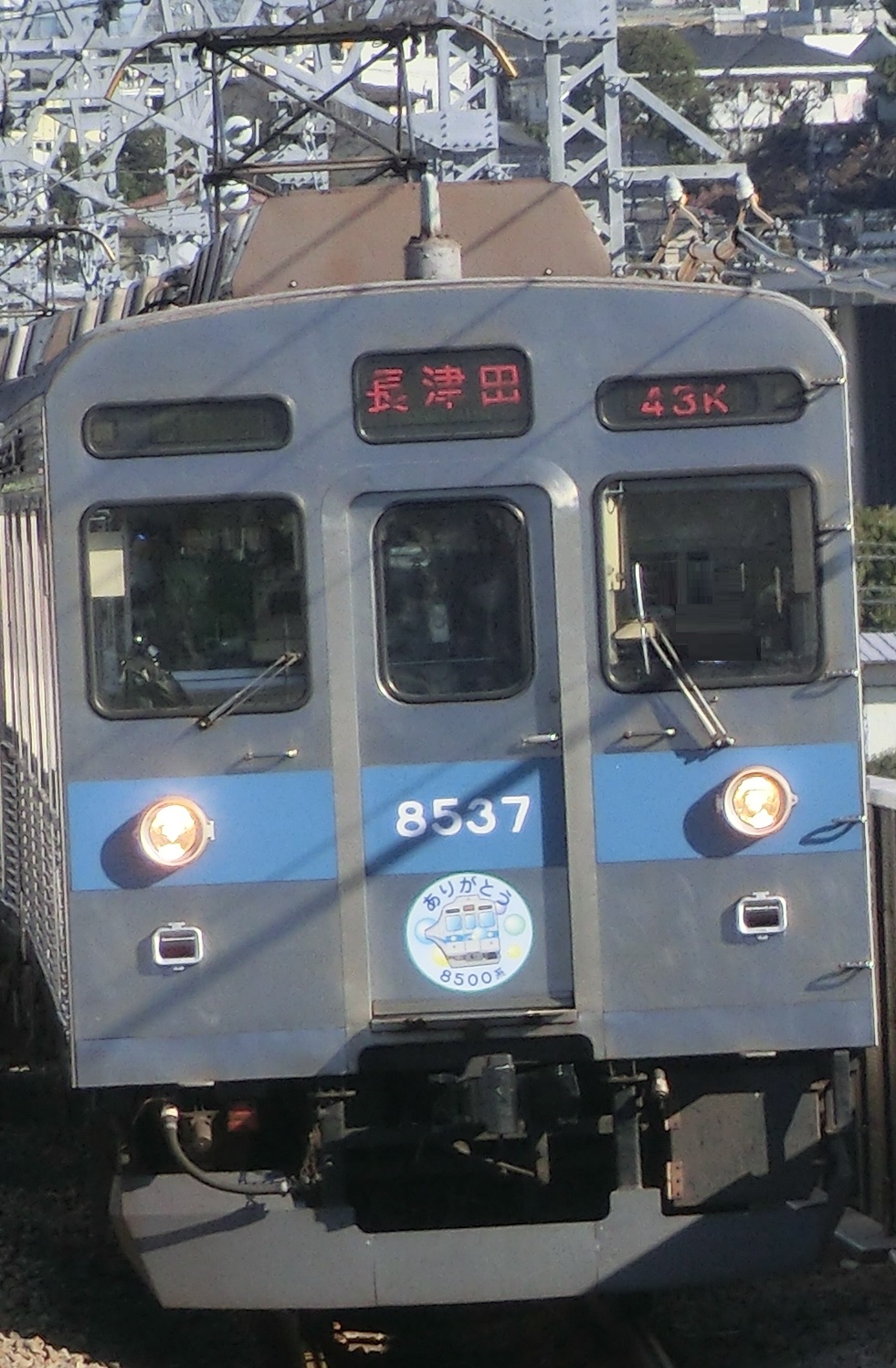 Tk-8637-36.jpg