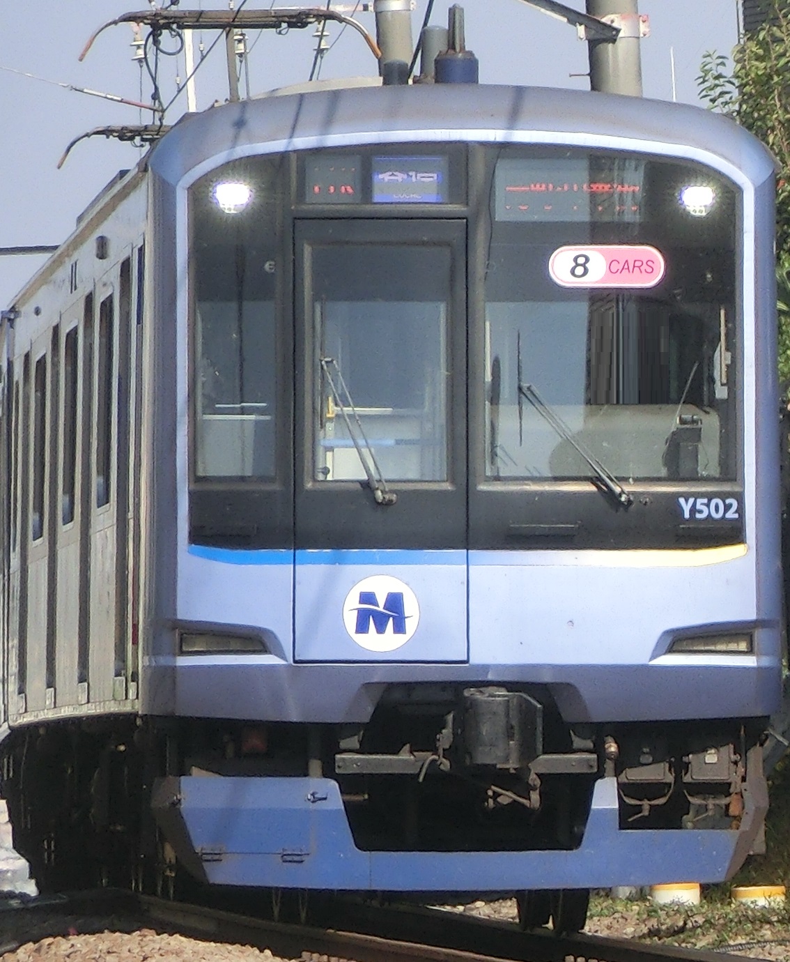 MM-Y512.jpg