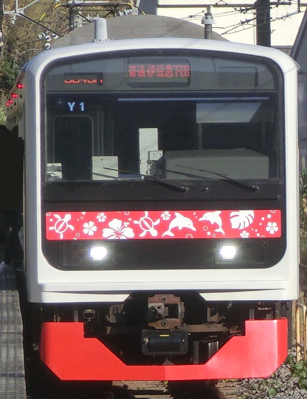 Iz3000Y1-2.jpg