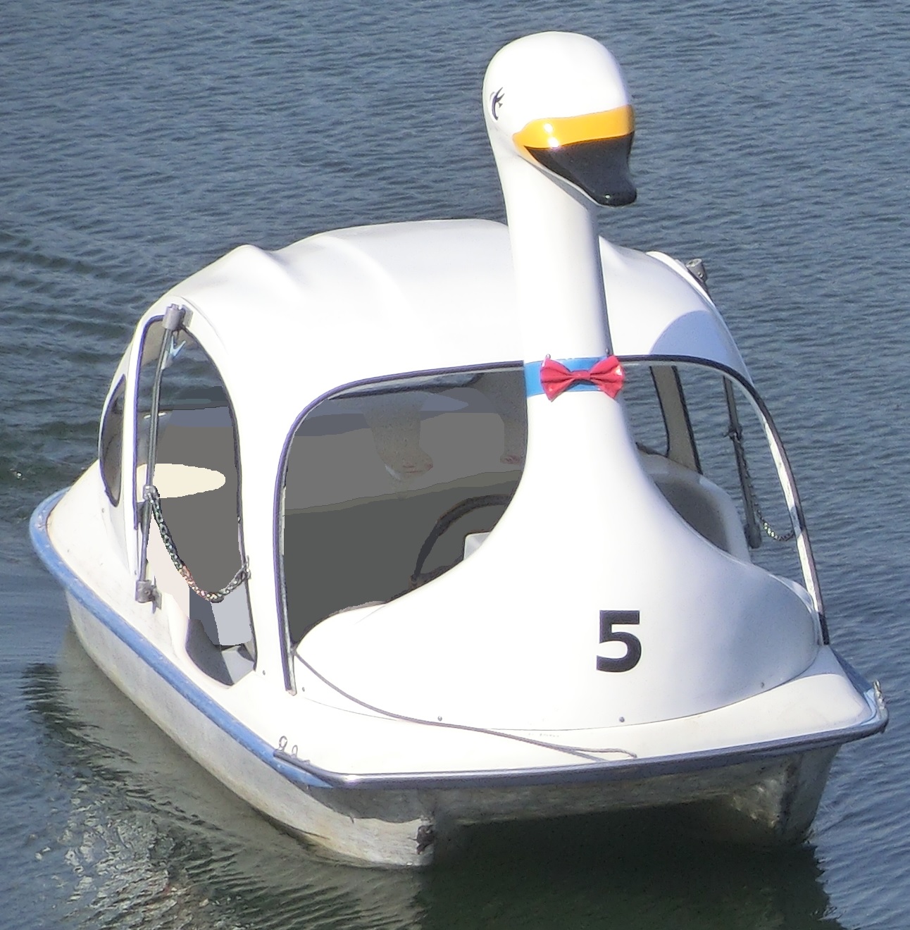 SwanBoat5-2.jpg