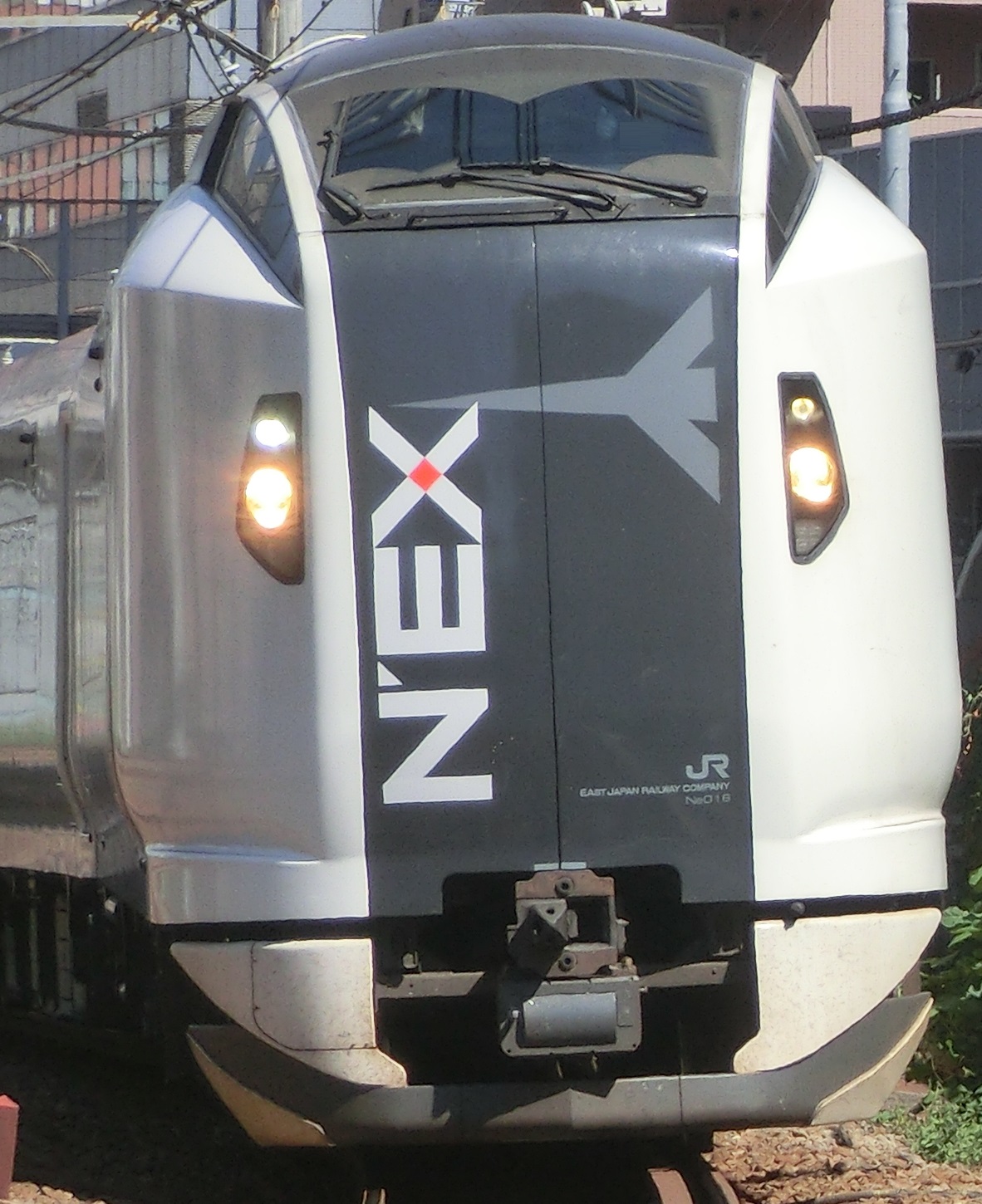 E259-Ne016-2.jpg