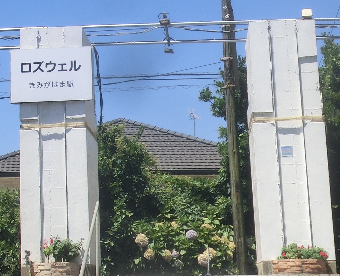 KimigahamaSta.jpg