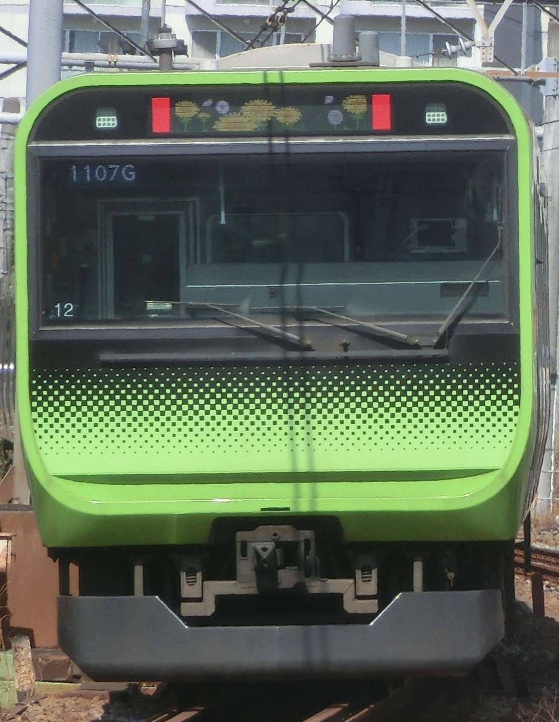 E235-To12-3.jpg