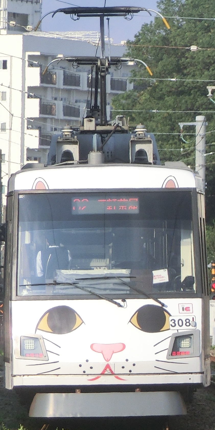 Tk-308-8.jpg