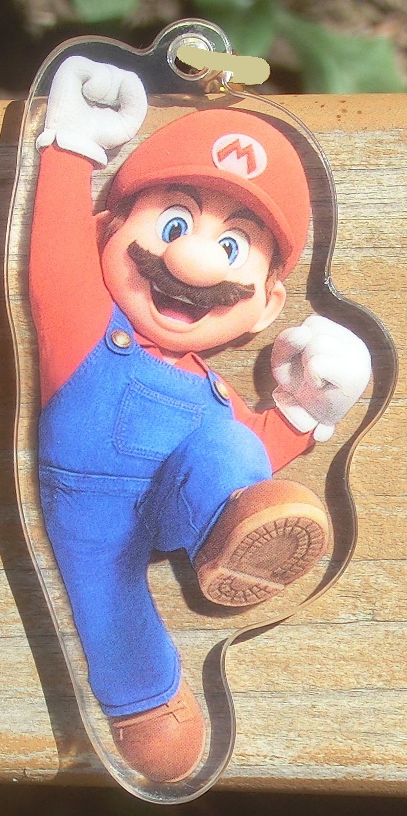 Strap-Mario-3.jpg