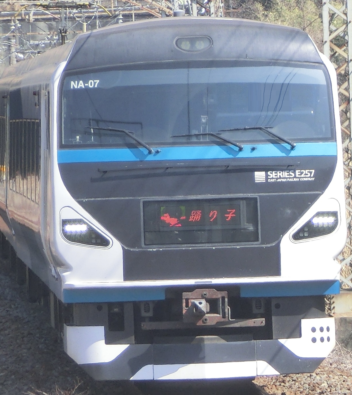 E257-NA07-2.jpg